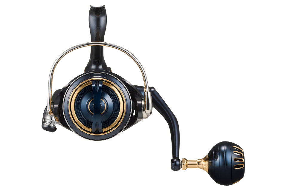 25 Saltiga <span>| Meeres-Spinnrolle</span>