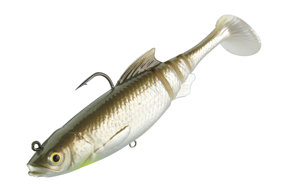 Prorex Lazy Roach RD | 160mm <span>| Gummifisch</span>
